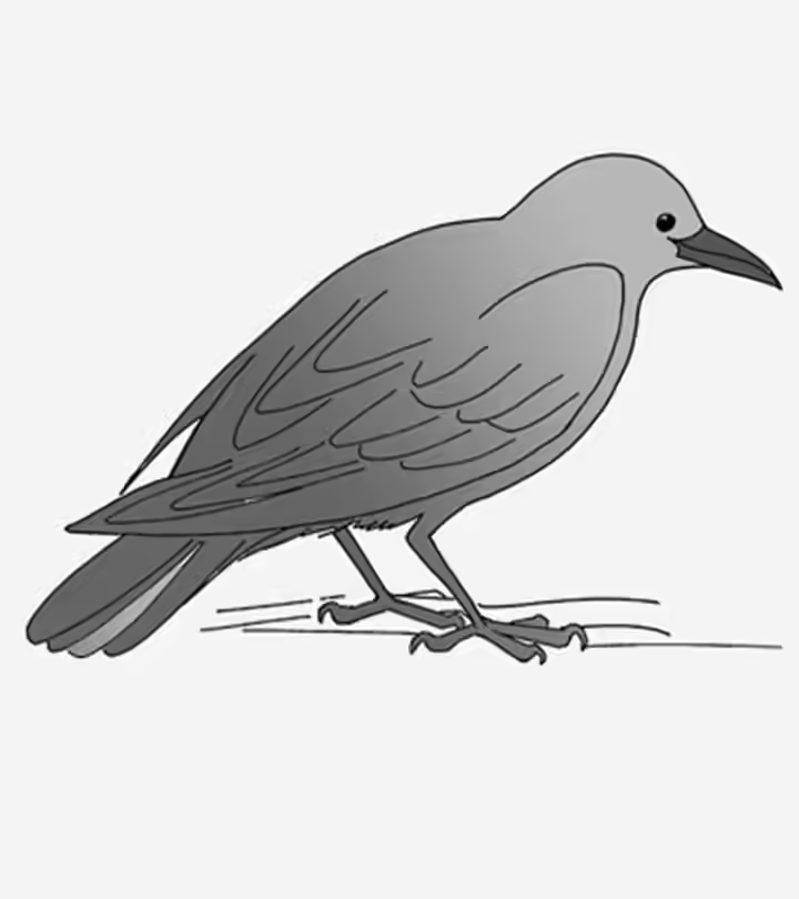 Crow Coloring Pages For Your Toddler