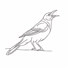 Crow Coloring Page - Crow Making A Call Crow Coloring Page - Crow Making A Call