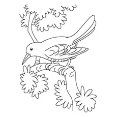 Crow Coloring Page - Crow Perching On A Branch