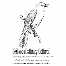 Cute Mockingbird Coloring Page