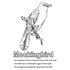 Cute Mockingbird Coloring Page