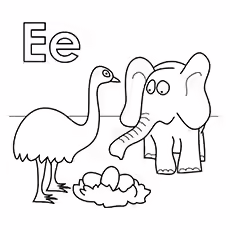 Emu Coloring Page - E For Emu And Elephant Emu Coloring Page - E For Emu And Elephant
