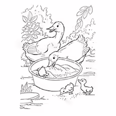 Easter Goose Coloring Page Easter Goose Coloring Page