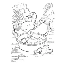 Easter Goose Coloring Page 