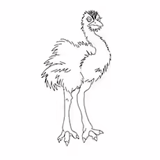 Edward The Emu Edward The Emu 17