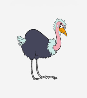 Top 10 Emu Coloring Pages For Toddlers_image