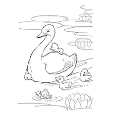 Goose Coloring Page - Goose Swimming With Her Goslings