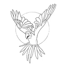 Macaw Coloring Page - Green-Winged Macaw