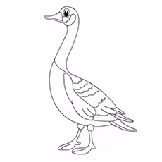 Hawaiian Goose Coloring Page Hawaiian Goose Coloring Page
