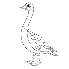 Hawaiian Goose Coloring Page 