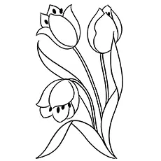 Beautiful Lady Tulip Pic to Color