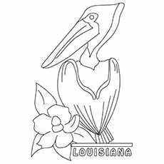 Pelican Coloring Page - Louisiana State Bird Pelican Coloring Page - Louisiana State Bird