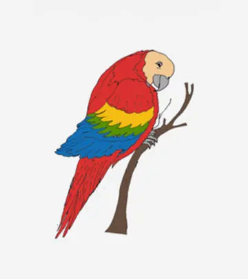 Top 10 Macaw Coloring Pages Your Toddler Will Love_image