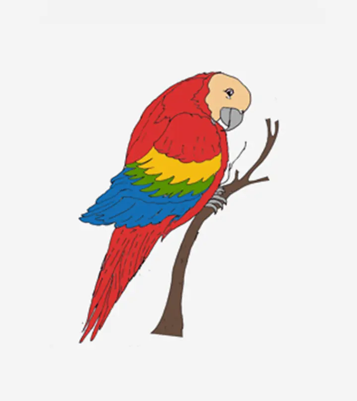 Macaw Coloring Pages Your Toddler Will Love