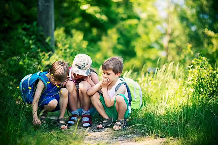 Camping Games For Kids - Make A Bug House Camping Games For Kids - Make A Bug House