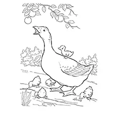 Goose Coloring Page - Mama Goose With Goslings