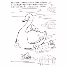 Swan Coloring Pages - Mama Swan Teaching Her Babies To Swim Swan Coloring Pages - Mama Swan Teaching Her Babies To Swim
