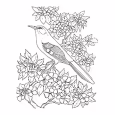 Mockingbird Coloring Page - Mockingbird Surrounded By Flower