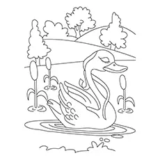 Swan Coloring Pages - Mute Swan In A Lake