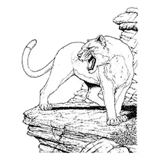 Cougar Coloring Page - Northern South American Cougar