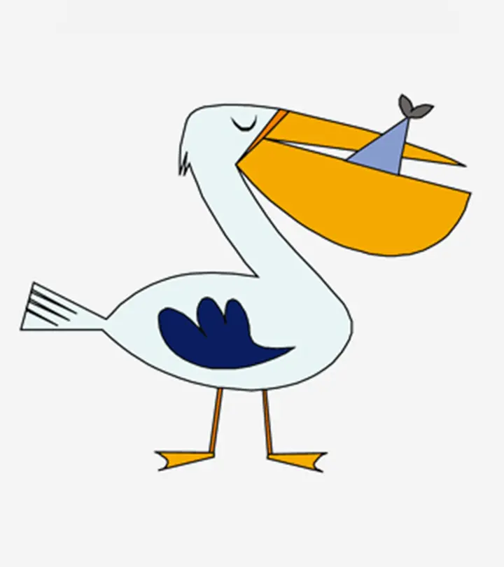 Pelican Coloring Pages For Toddlers