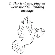 Coloring Pages of Pigeon As A Mode Of Communication