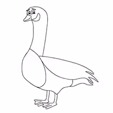 Pink Footed Goose Coloring Page Pink Footed Goose Coloring Page