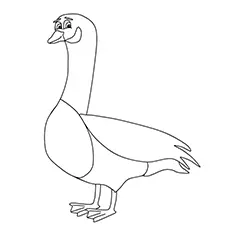 Pink Footed Goose Coloring Page