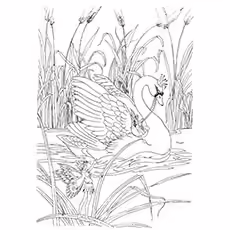 Swan Coloring Pages - Princess Swan Swan Coloring Pages - Princess Swan