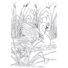 Swan Coloring Pages - Princess Swan