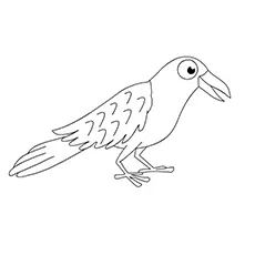 Crow Coloring Page - Raven