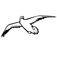 Seagull Coloring Page - Seagull Flying In The Sky