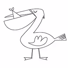 Simple Pelican Coloring Page Simple Pelican Coloring Page