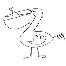 Simple Pelican Coloring Page