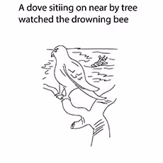 The Dove And The Bee The Dove And The Bee