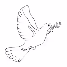 Dove Coloring Page - The Symbol Of Peace Dove Coloring Page - The Symbol Of Peace