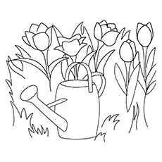 Tulips Of Netherlands Coloring Page