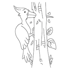 Woodpecker Drilling the Wood Coloring Page