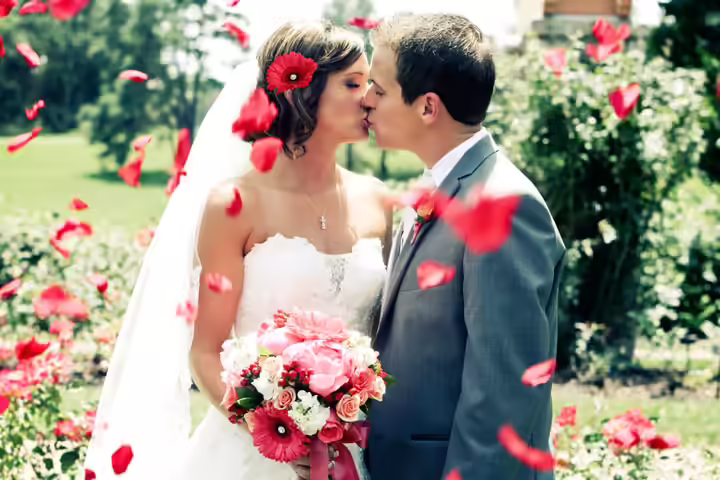 Stages of Love - The Proposal Stages of Love - The Proposal
