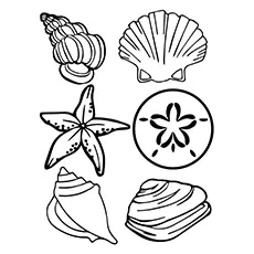 Clam Coloring Page - A Sea Shells