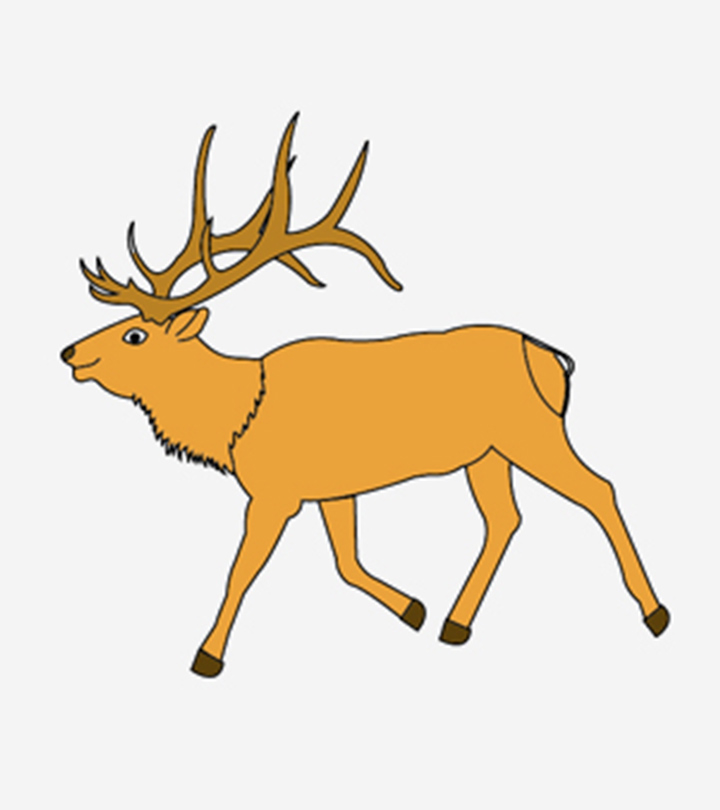 Amazing Elk Coloring Pages For Your Toddler