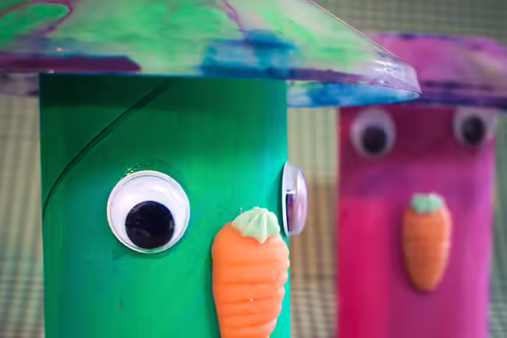 Toilet Paper Roll Crafts - Angry Bird Variants