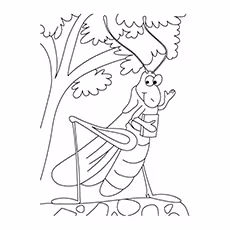 Animated Grasshopper Coloring Page Animated Grasshopper Coloring Page