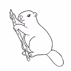 Beaver Enjoying His Meal Beaver Enjoying His Meal Printable to Color
