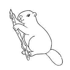 Beaver Enjoying His Meal Printable to Color