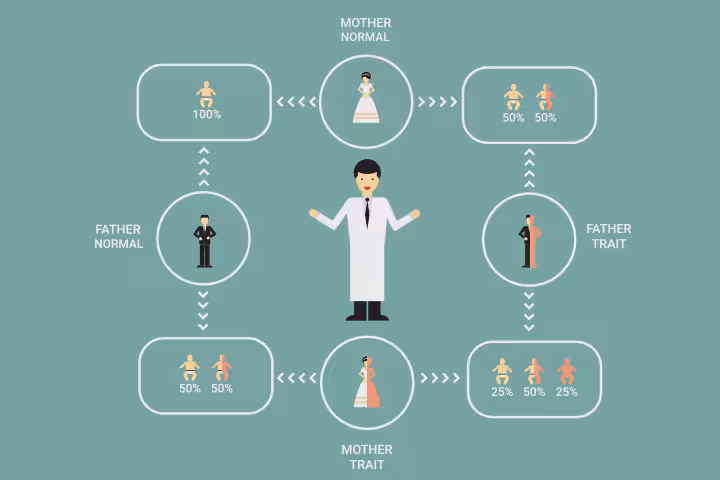 Beta Thalassemia In Children Beta Thalassemia In Children