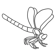 Dragonfly Coloring Page - Blue Dasher