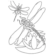 Dragonfly Coloring Page - Blue-Eyed Darner