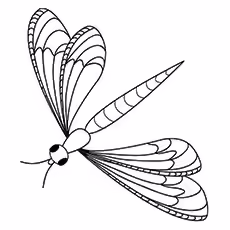 Dragonfly Coloring Page - Blue-Fronted Dancer Dragonfly Coloring Page - Blue-Fronted Dancer