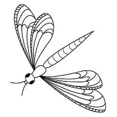 Dragonfly Coloring Page - Blue-Fronted Dancer